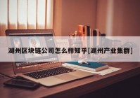 湖州区块链公司怎么样知乎[湖州产业集群]